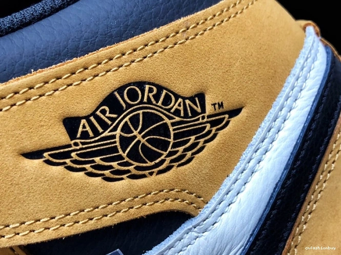Air Year 1 of the Retro High Jordan Rookie 555088-700 OG 0831